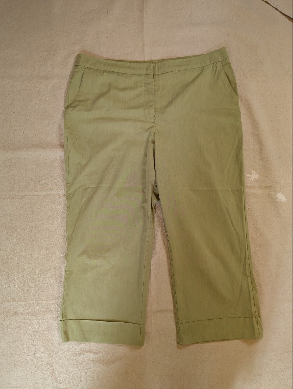 New York & Company Light Green Cropped Trousers
